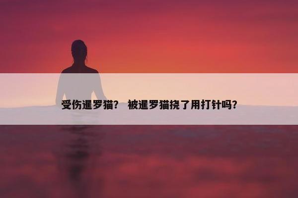 受伤暹罗猫？ 被暹罗猫挠了用打针吗？