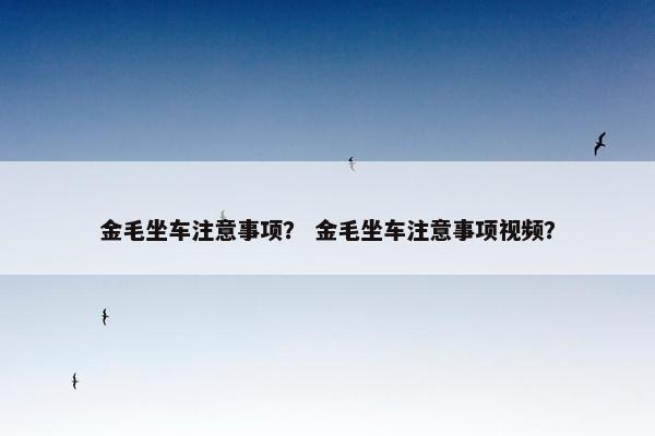 金毛坐车注意事项？ 金毛坐车注意事项视频？