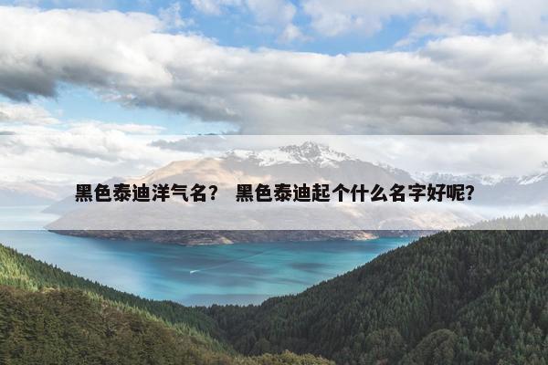 黑色泰迪洋气名？ 黑色泰迪起个什么名字好呢？