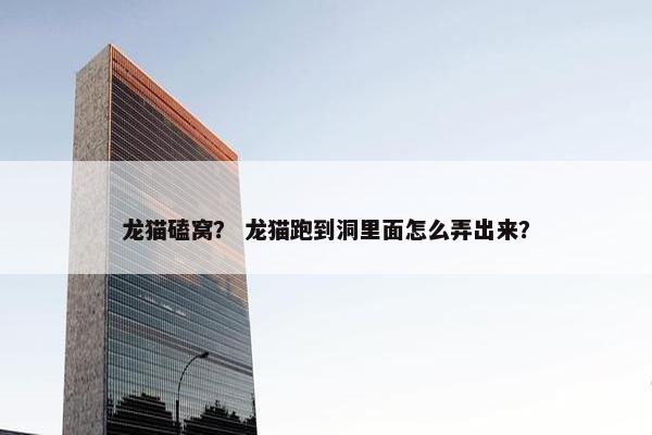 龙猫磕窝？ 龙猫跑到洞里面怎么弄出来？