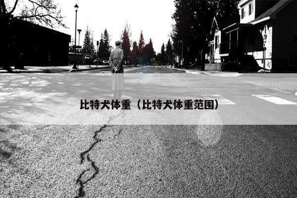 比特犬体重（比特犬体重范围）