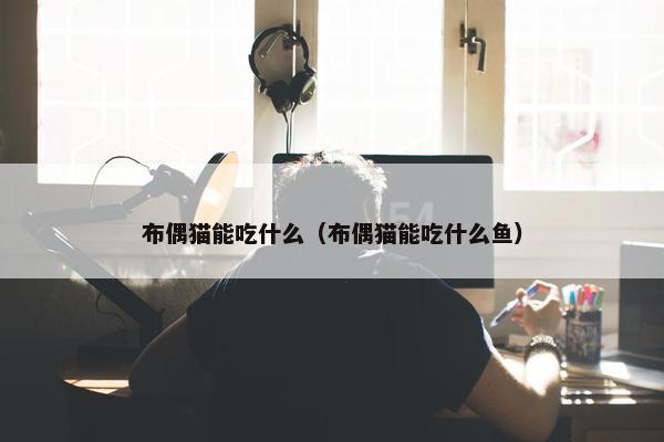 布偶猫能吃什么（布偶猫能吃什么鱼）