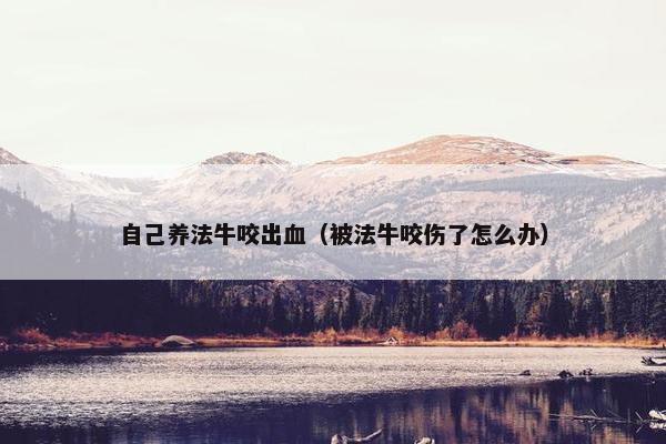 自己养法牛咬出血（被法牛咬伤了怎么办）