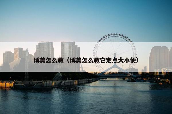 博美怎么教（博美怎么教它定点大小便）