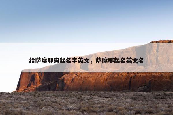 给萨摩耶狗起名字英文，萨摩耶起名英文名