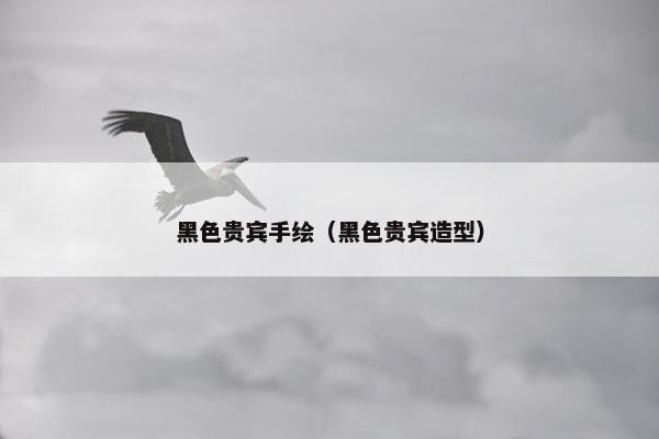 黑色贵宾手绘（黑色贵宾造型）