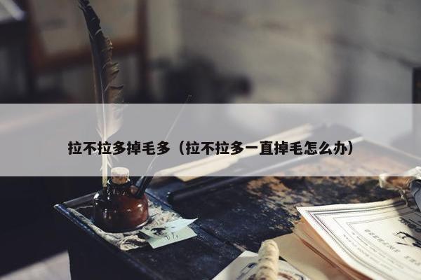 拉不拉多掉毛多（拉不拉多一直掉毛怎么办）