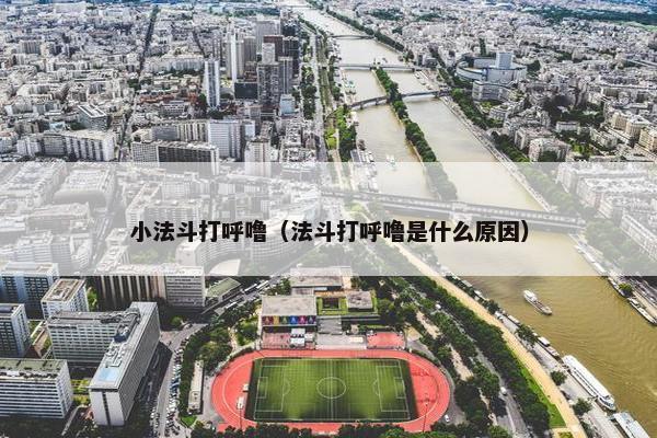 小法斗打呼噜（法斗打呼噜是什么原因）