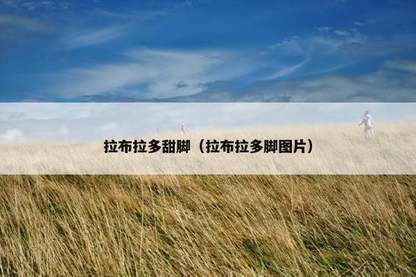 拉布拉多甜脚（拉布拉多脚图片）