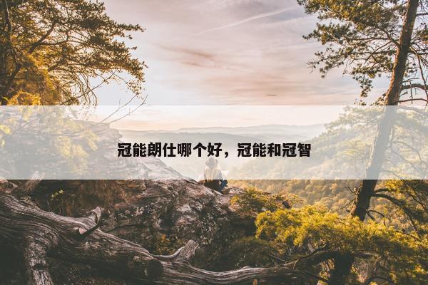 冠能朗仕哪个好，冠能和冠智