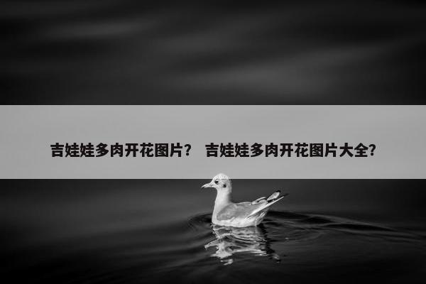 吉娃娃多肉开花图片？ 吉娃娃多肉开花图片大全？