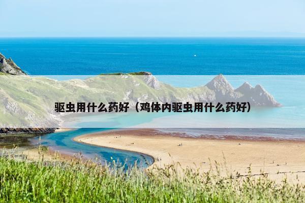 驱虫用什么药好（鸡体内驱虫用什么药好）