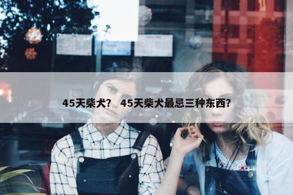 45天柴犬？ 45天柴犬最忌三种东西？