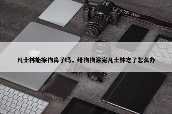 凡士林能擦狗鼻子吗，给狗狗涂完凡士林吃了怎么办