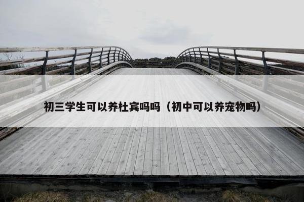初三学生可以养杜宾吗吗（初中可以养宠物吗）