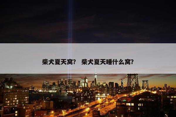 柴犬夏天窝？ 柴犬夏天睡什么窝？