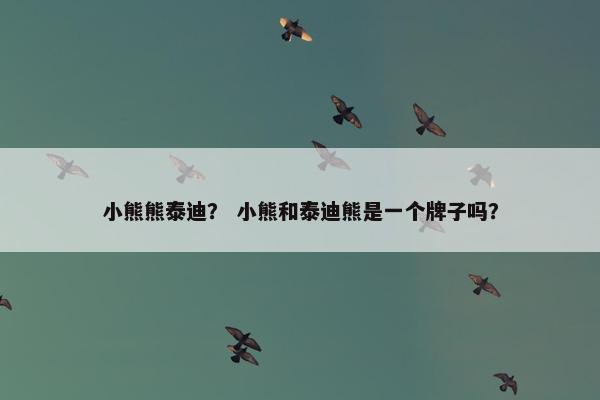 小熊熊泰迪？ 小熊和泰迪熊是一个牌子吗？