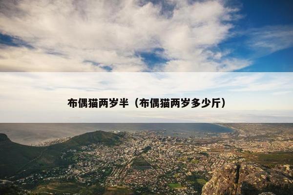 布偶猫两岁半（布偶猫两岁多少斤）