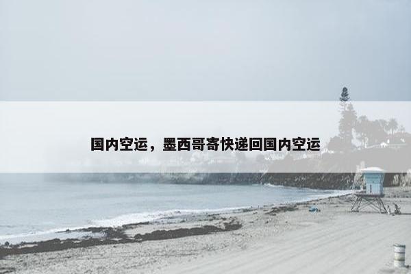 国内空运，墨西哥寄快递回国内空运