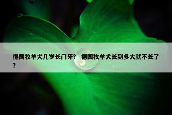 德国牧羊犬几岁长门牙？ 德国牧羊犬长到多大就不长了？