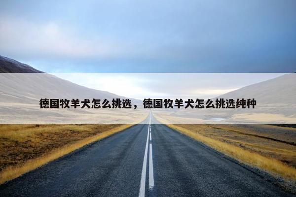 德国牧羊犬怎么挑选，德国牧羊犬怎么挑选纯种