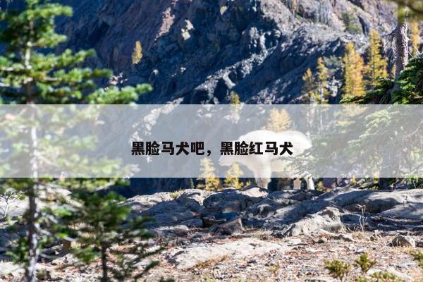 黑脸马犬吧，黑脸红马犬