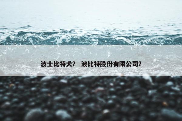 波士比特犬？ 波比特股份有限公司？