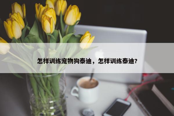 怎样训练宠物狗泰迪，怎样训练泰迪?