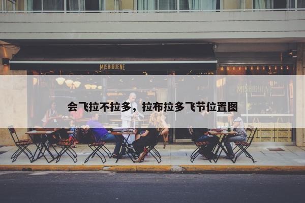 会飞拉不拉多，拉布拉多飞节位置图
