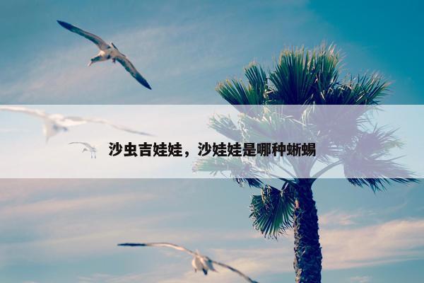 沙虫吉娃娃，沙娃娃是哪种蜥蜴
