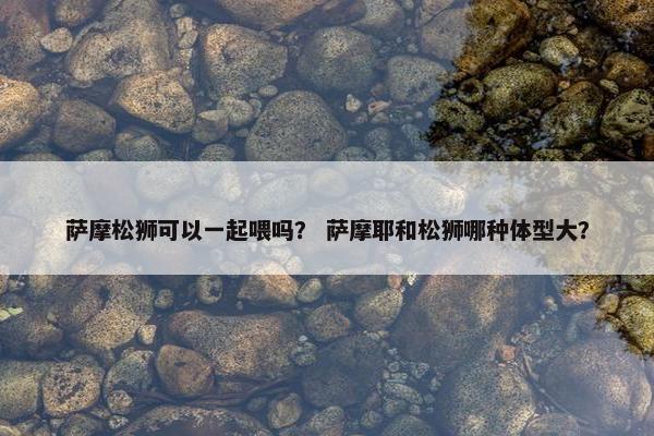 萨摩松狮可以一起喂吗？ 萨摩耶和松狮哪种体型大？