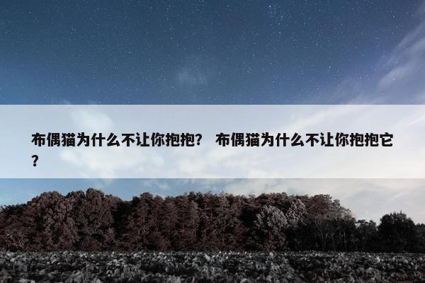 布偶猫为什么不让你抱抱？ 布偶猫为什么不让你抱抱它？