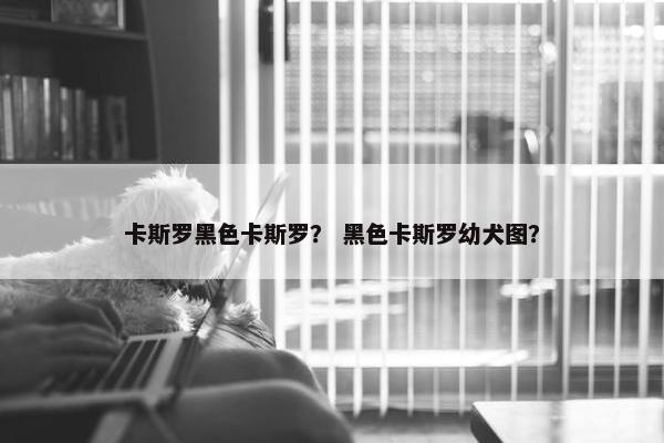 卡斯罗黑色卡斯罗？ 黑色卡斯罗幼犬图？