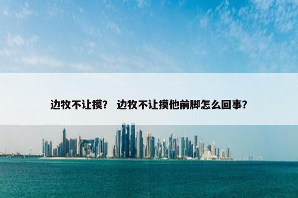 边牧不让摸？ 边牧不让摸他前脚怎么回事？