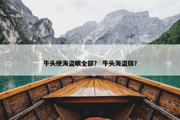 牛头梗海盗眼全部？ 牛头海盗旗？