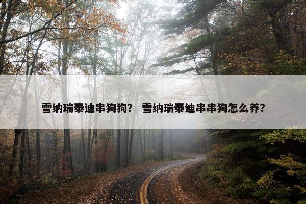 雪纳瑞泰迪串狗狗？ 雪纳瑞泰迪串串狗怎么养？