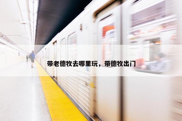 带老德牧去哪里玩，带德牧出门