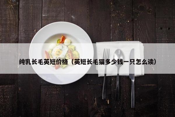 纯乳长毛英短价格（英短长毛猫多少钱一只怎么读）