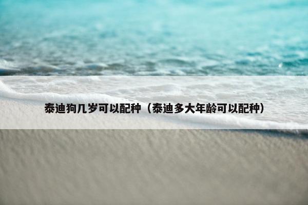 泰迪狗几岁可以配种（泰迪多大年龄可以配种）