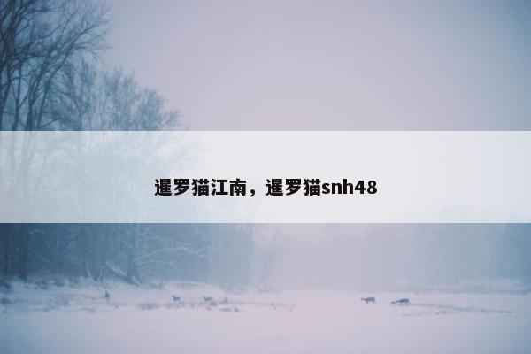 暹罗猫江南，暹罗猫snh48