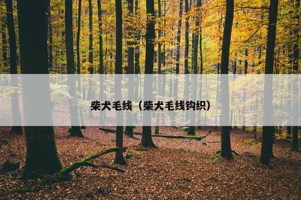 柴犬毛线（柴犬毛线钩织）