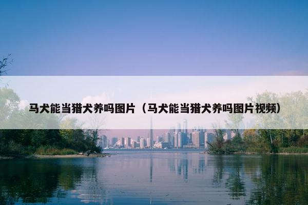 马犬能当猎犬养吗图片（马犬能当猎犬养吗图片视频）