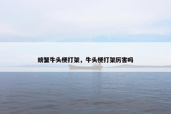 螃蟹牛头梗打架，牛头梗打架厉害吗