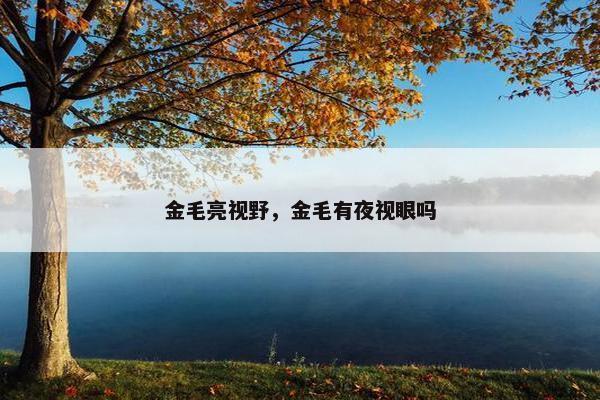 金毛亮视野，金毛有夜视眼吗