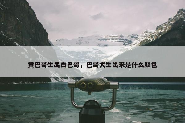 黄巴哥生出白巴哥，巴哥犬生出来是什么颜色