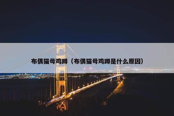 布偶猫母鸡蹲（布偶猫母鸡蹲是什么原因）