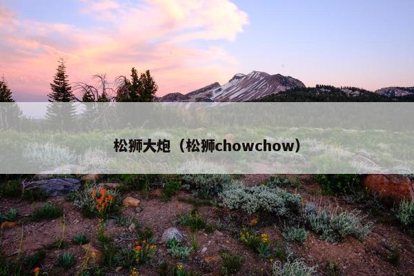 松狮大炮（松狮chowchow）