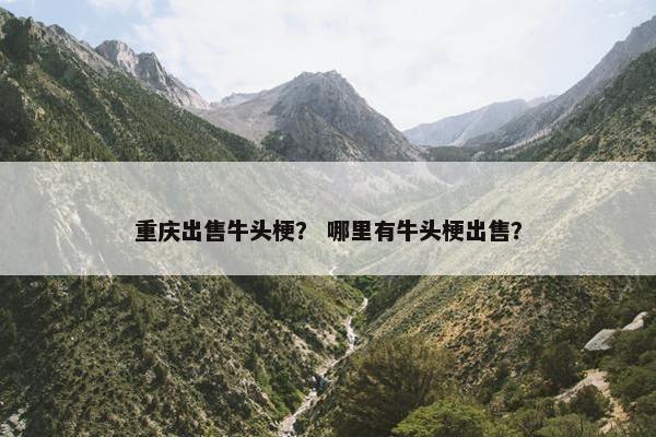 重庆出售牛头梗？ 哪里有牛头梗出售？