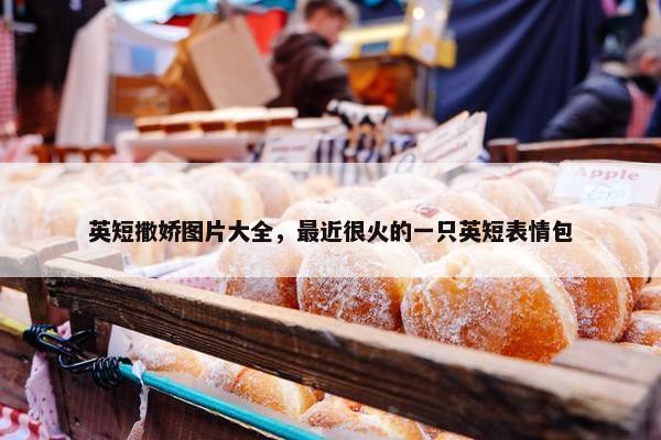 英短撒娇图片大全，最近很火的一只英短表情包