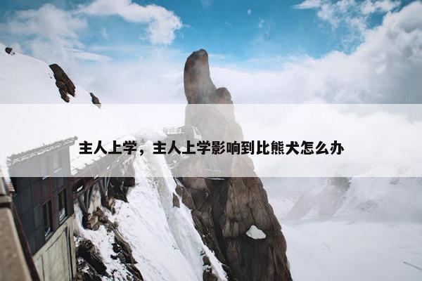 主人上学，主人上学影响到比熊犬怎么办